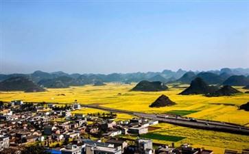 罗平油菜花-云南赏花旅游-重庆中国青年旅行社