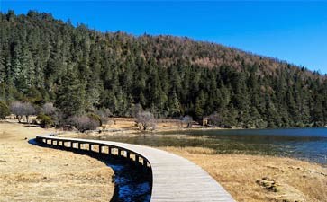 普达措森林公园旅游-重庆中国青年旅行社