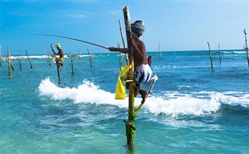 斯里兰卡·高跷钓鱼-斯里兰卡旅游-重庆旅行社