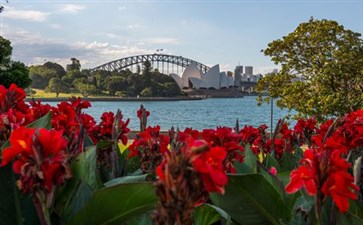 皇家植物园-悉尼旅游-重庆青年旅行社