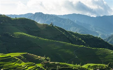 广西龙脊梯田-重庆夕阳红旅游-重庆中国青年旅行社