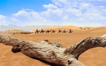 宁夏沙漠自驾旅游-重庆五一自驾旅游