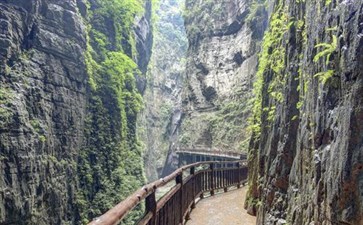 武陵山大裂谷-重庆周边游-重庆中青旅