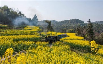 嘉阳蒸汽小火车-四川旅游-重庆中青旅