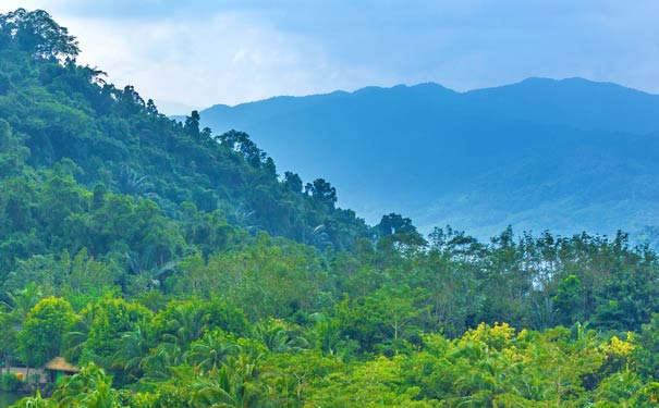 海南旅游年卡可免费游览景点：雅诺达雨林