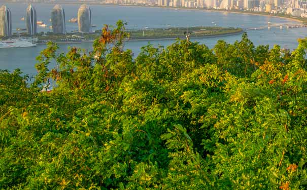 海南旅游年卡可免费游览景点：凤凰岭海誓山盟景区