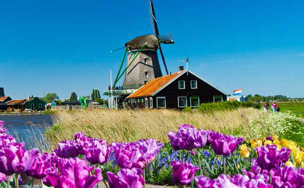 荷兰开放5年签证