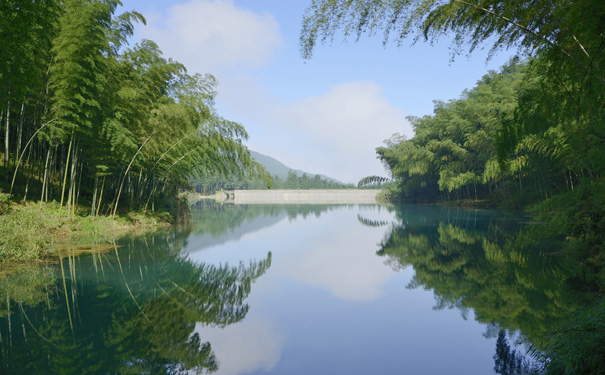 南山竹海