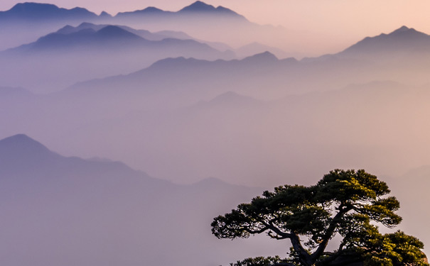 黄山四绝之云海