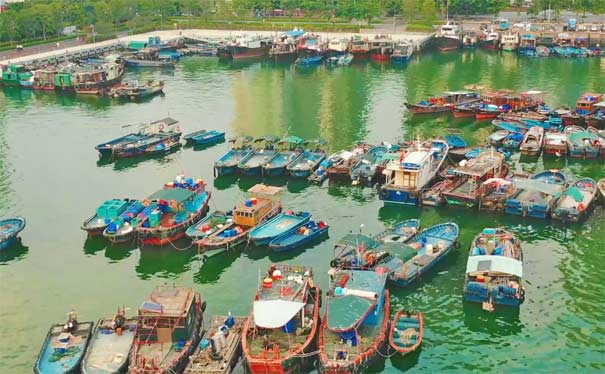 深圳免费钓鱼的地方推荐:蛇口渔港