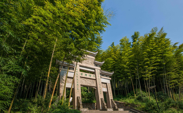 永川茶山竹海