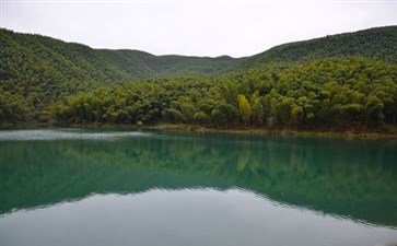 竹海风景-四川旅游-重庆中青旅