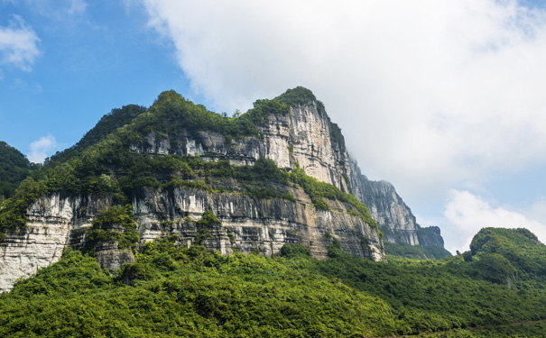 金佛山景区