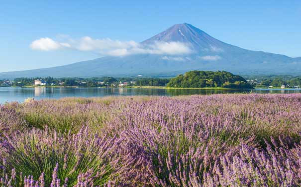 日本富士山夏季