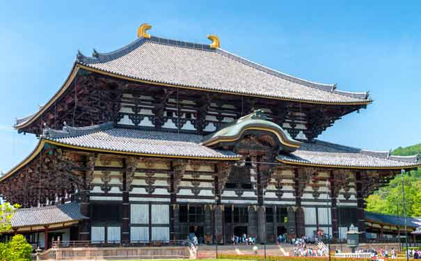 日本旅游花费多少钱之景点：奈良公园东大寺