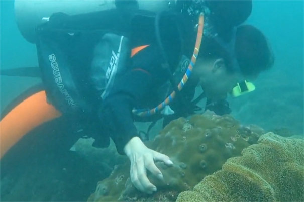 北海涠洲岛哪里可以潜水 涠洲岛潜水地点介绍