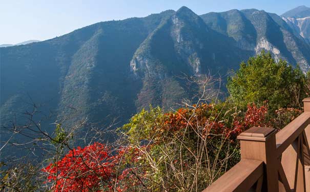 巫山神女景区赏红叶