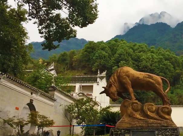 长江三峡旅游景点：宜昌黄陵庙黄牛