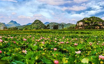 普者黑风景-云南旅游-重庆中青旅