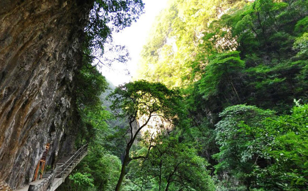 金佛山旅游