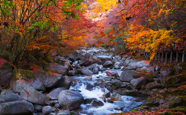 光雾山旅游