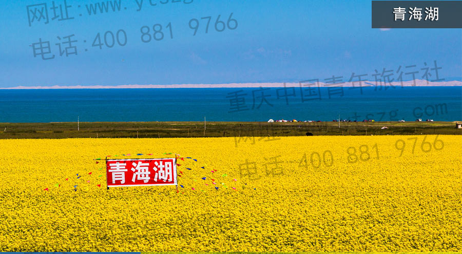 重庆到西北旅游景点2青海湖-重庆青年旅行社