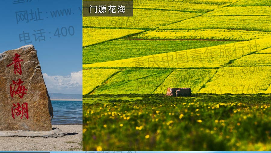 重庆到西北旅游景点3门源花海-重庆青年旅行社