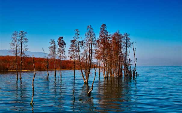 云南洱海