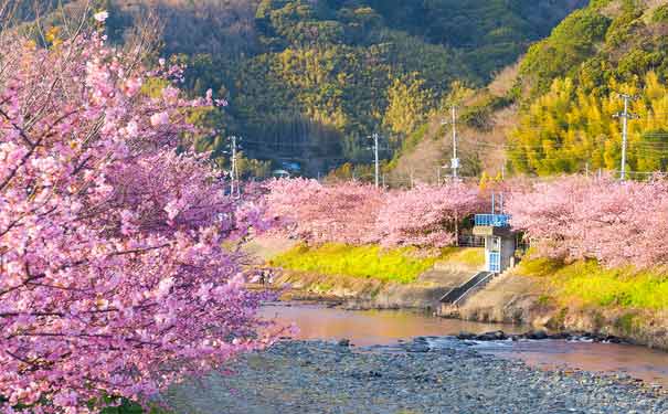 日本旅游