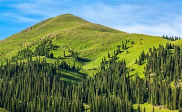 那提拉草原风光-重庆自驾旅游新疆-重庆中青旅