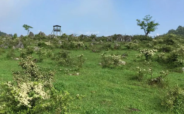 黄水千野草场景区