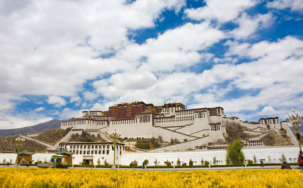西藏旅游必去十大景点 (西藏游玩必去)