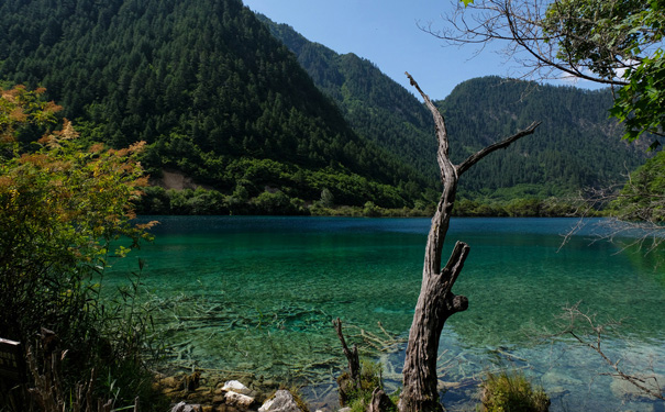 九寨沟旅游