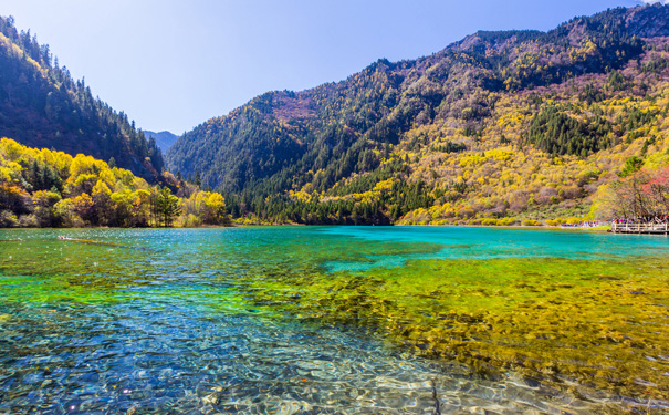 四川九寨沟旅游