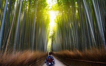岚山风光-秋季日本旅游-重庆旅行社