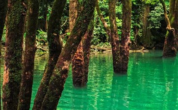 荔波小七孔-贵州旅游-重庆中青旅