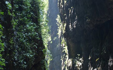 重庆黑山谷景区-重庆周边二日游