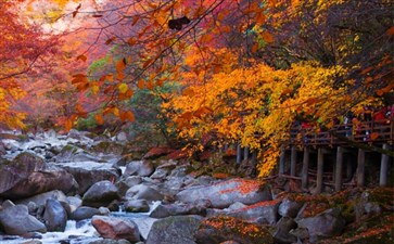 金秋光雾山红叶旅游-光雾山三日游线路