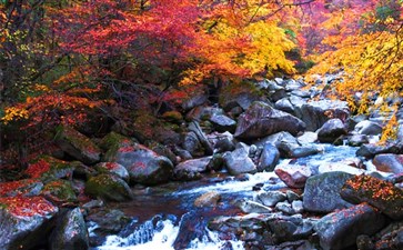 金秋光雾山红叶旅游-光雾山三日游线路