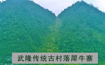 武隆犀牛寨旅游-重庆武隆二日游