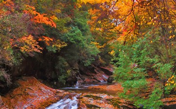 重庆到光雾山三日游报价-光雾山红叶旅游线路