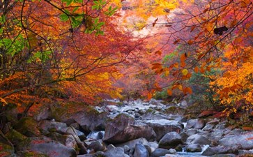 重庆到光雾山三日游报价-光雾山红叶旅游线路