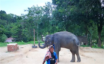 大象园-泰国普吉岛旅游报价-重庆中国青年旅行社