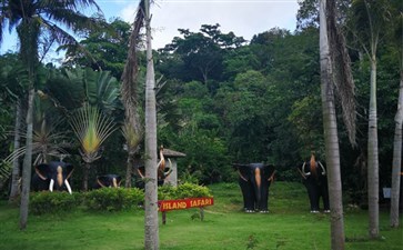 大象园-泰国普吉岛旅游报价-重庆中国青年旅行社