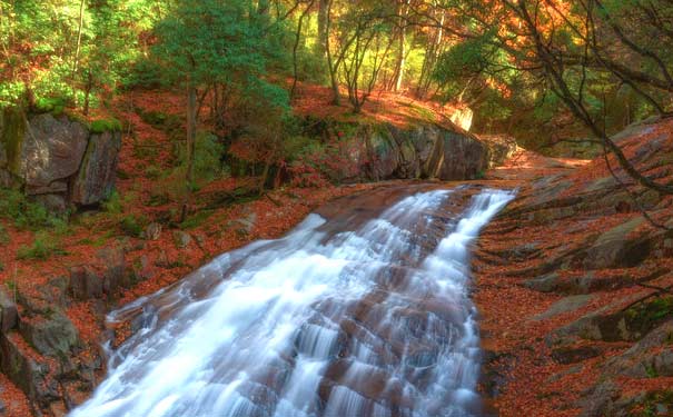 四川光雾山红叶