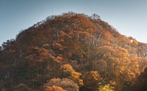 四川光雾山红叶