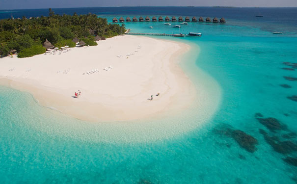 马尔代夫蓝色美人蕉岛沙滩