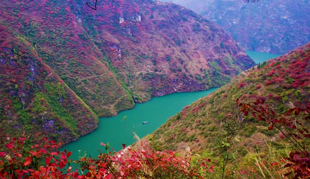 长江三峡红叶美景