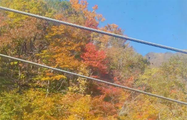 日本关东红叶旅游推荐：谷川岳