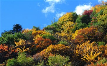 米亚罗-四川旅游-重庆中青旅